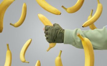 A man's hand caught a falling banana. Falling bananas against a gray background.