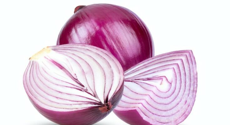 onion isolated on white